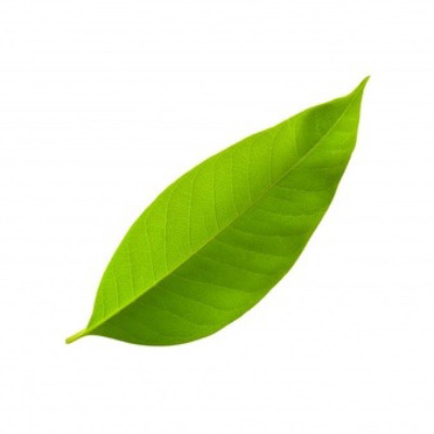herbal
