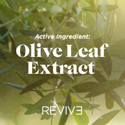 olive-1