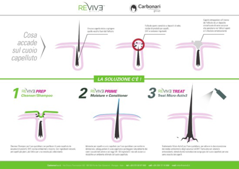 revive-cosa-accade